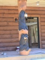 Bears on Pillers